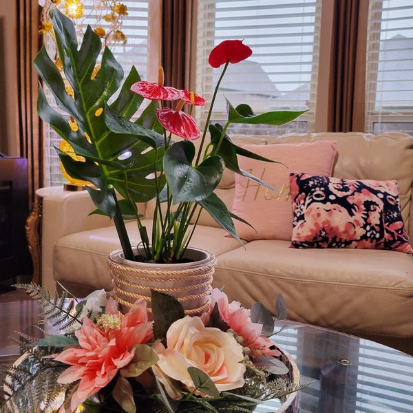 Instagram post of Casa Linda 🛋️