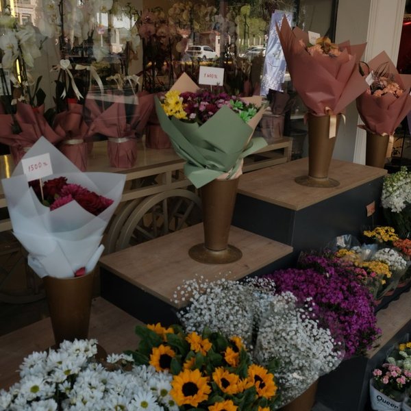 Profile photo of elrosedal.flores