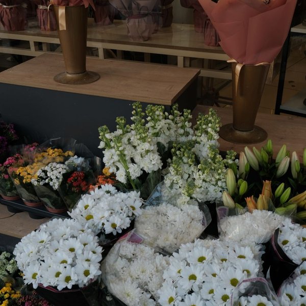Instagram post of El Rosedal 💐